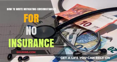 Writing Mitigating Circumstances: A Guide for No Insurance Cases