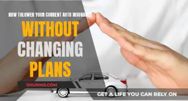 Lower Auto Insurance Costs: Keep Your Plan, Save Money