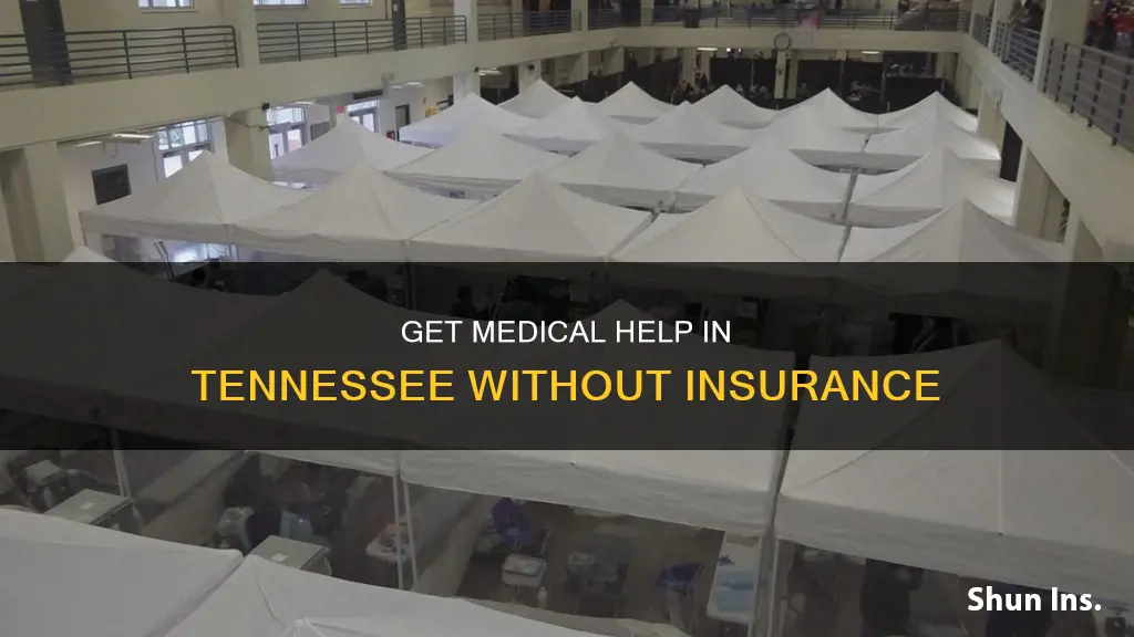 how tp get medical assistance no insurance tennessee