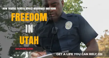 Traffic Tickets: Insurance, Freedom, and You in Utah