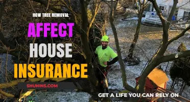 Tree Removal: House Insurance Impact