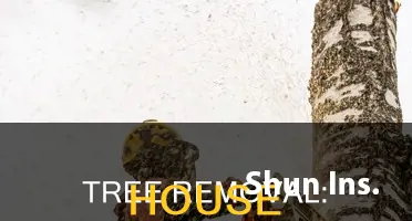 how tree removal affect house insurance