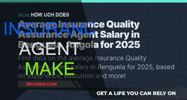 Lucrative Insurance Agent Career: Salary Expectations
