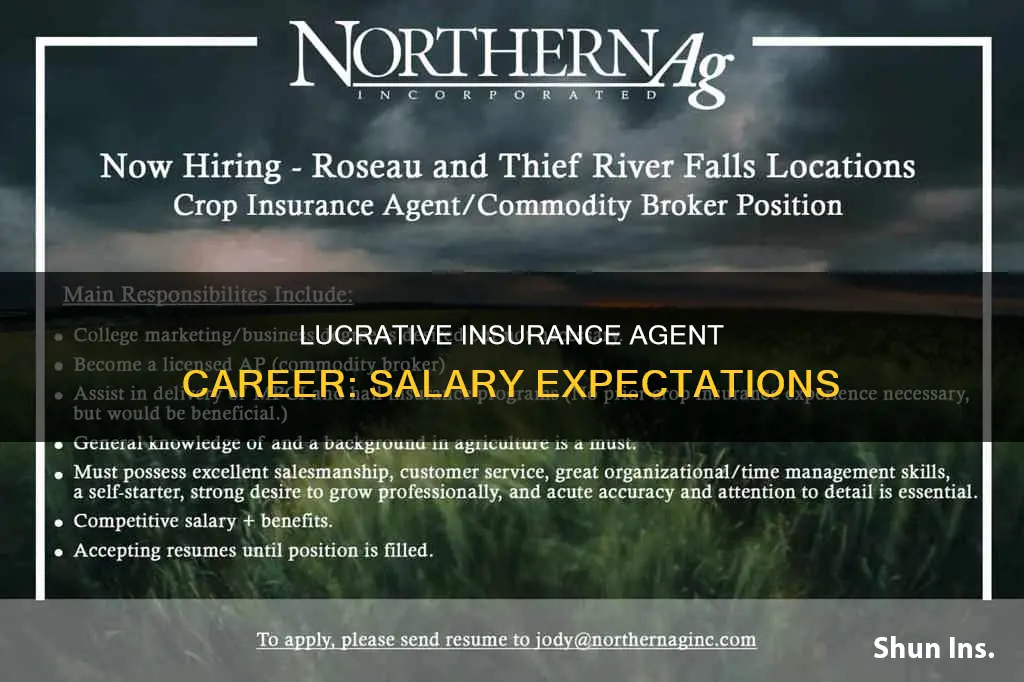how uch does insurance agent make