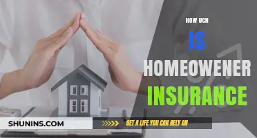 Understanding Homeowners Insurance Costs: Factors and Average Premiums Explained