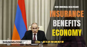 Universal Healthcare Insurance: Boosting Economic Growth and Stability
