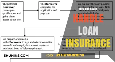 Banks' Loan Insurance: The USA's Approach