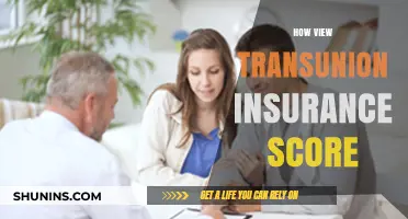 Understanding Your TransUnion Insurance Score: A Step-by-Step Guide to Accessing It