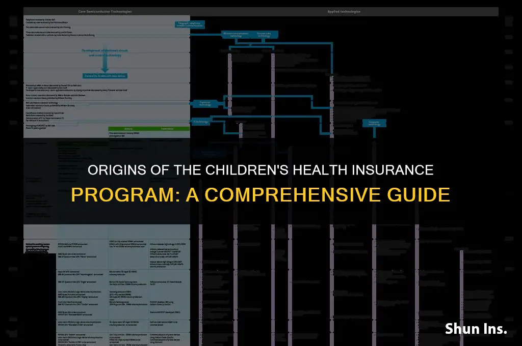 how was childrens health insurance program founded
