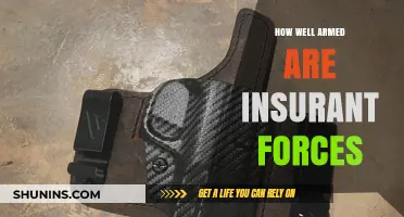 Assessing the Armament Levels of Insurgent Forces: A Comprehensive Analysis