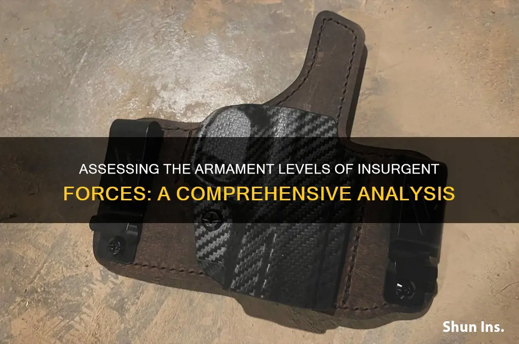 how well armed are insurant forces