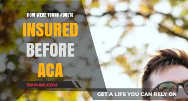 Pre-ACA Health Coverage: How Young Adults Stayed Insured Before Obamacare
