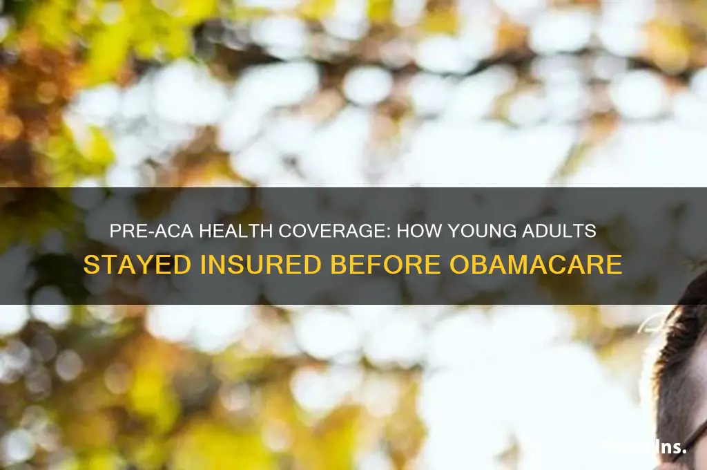 how were young adults insured before aca