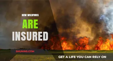 Understanding Wildfire Insurance: Coverage, Costs, and Claims Explained