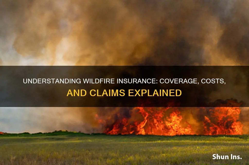 how wildfires are insured