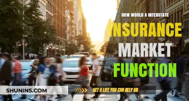 Interstate Insurance Market: Functionality, Benefits, and Regulatory Challenges Explained