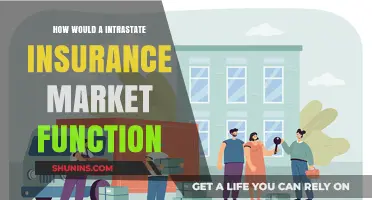 Understanding Intrastate Insurance Markets: Operations, Benefits, and Challenges