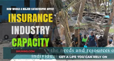 The Impact of Catastrophes on Insurance Industry Capacity