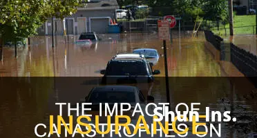 how would a major catastrophe affect insurance industry capacity