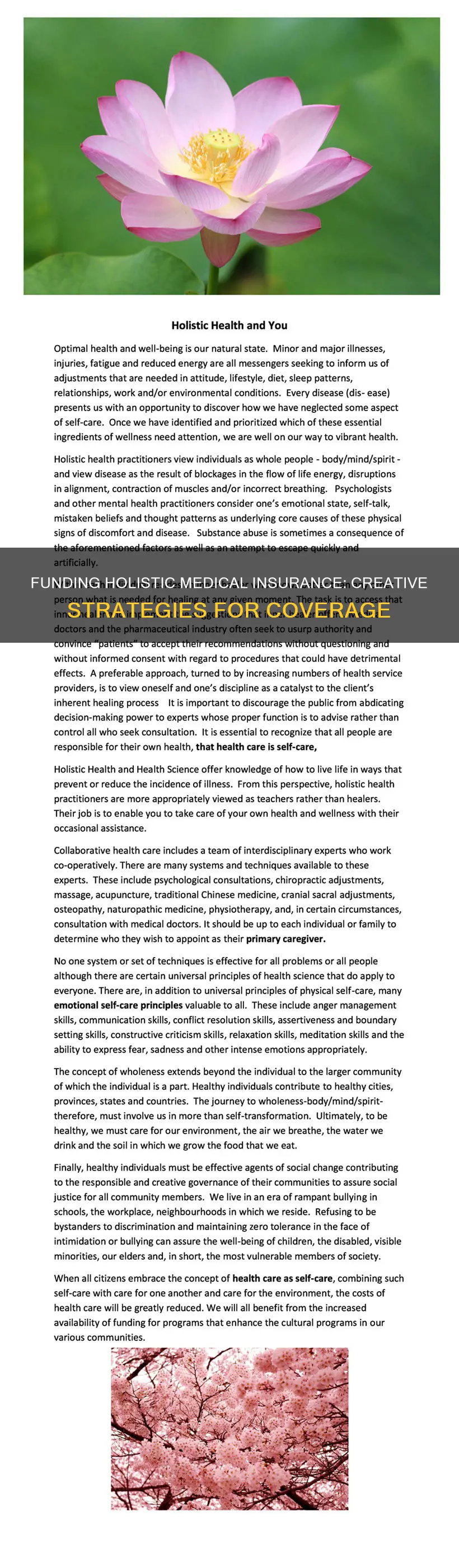 how would I fund a holistic medical insurance program