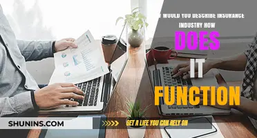 Understanding the Insurance Industry: Operations, Functions, and Key Mechanisms