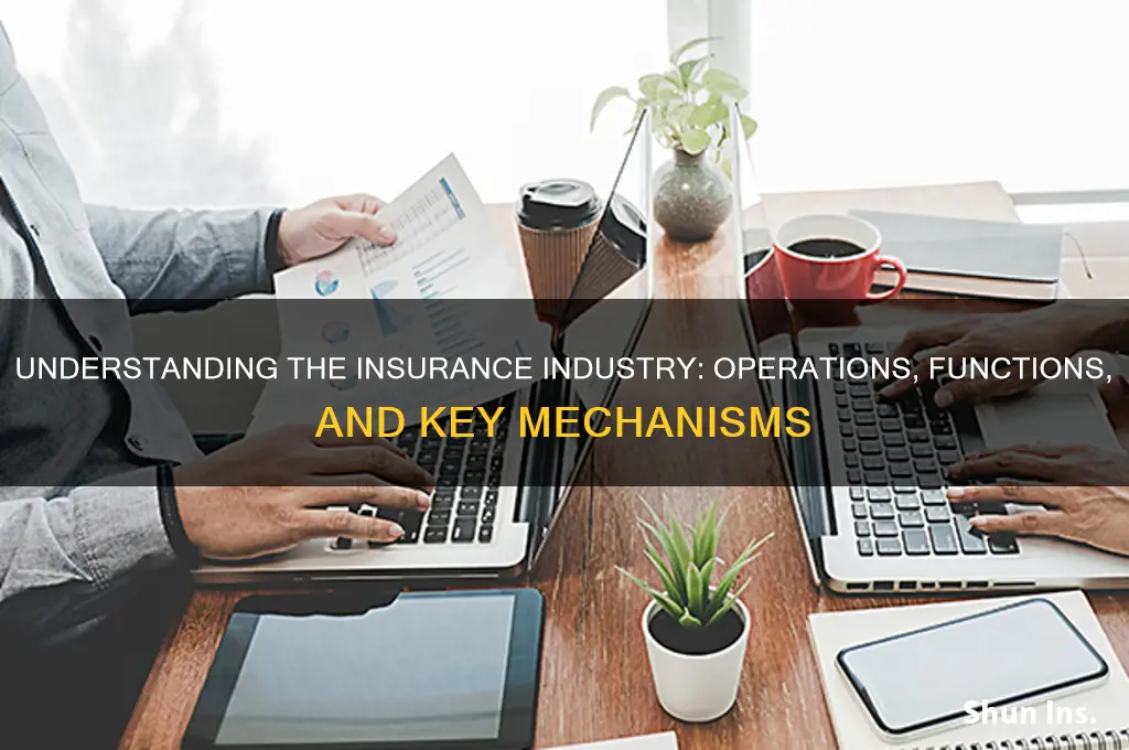 how would you describe insurance industry how does it function
