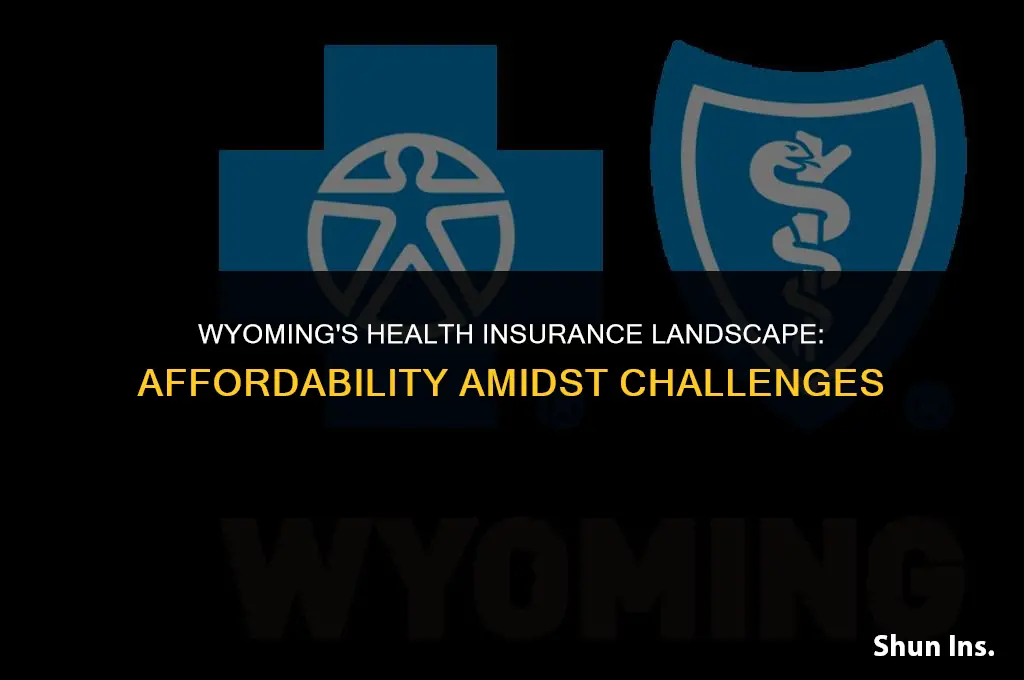 how wyomingites ars affording health insurance