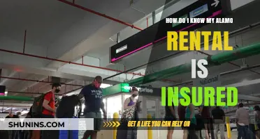 Is My Alamo Rental Insured?