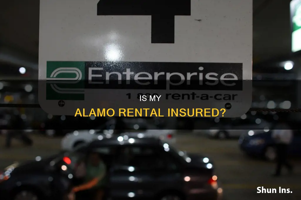how.do I know my alamo rental is insured