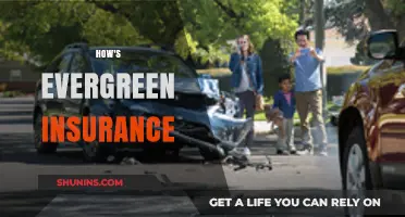 Evergreen Insurance Review: Pros, Cons, and Coverage Explained