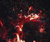 insurance against fire