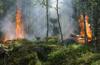insurance against fire