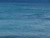 insurance for travel