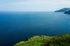 insurance for travel