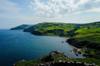 insurance for travel
