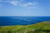 insurance for travel