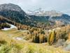 insurance for travel
