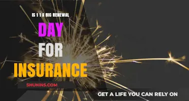 Is January 1st a Major Insurance Renewal Day? Exploring the Facts