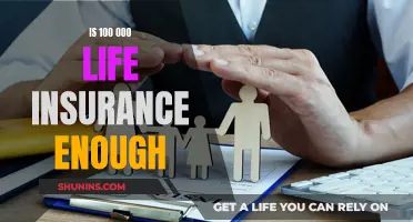 Life Insurance: Is a $100,000 Payout Enough?