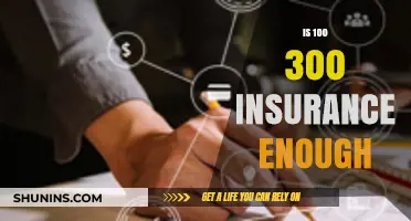 Is $100,300 Insurance Coverage Adequate for Your Needs?
