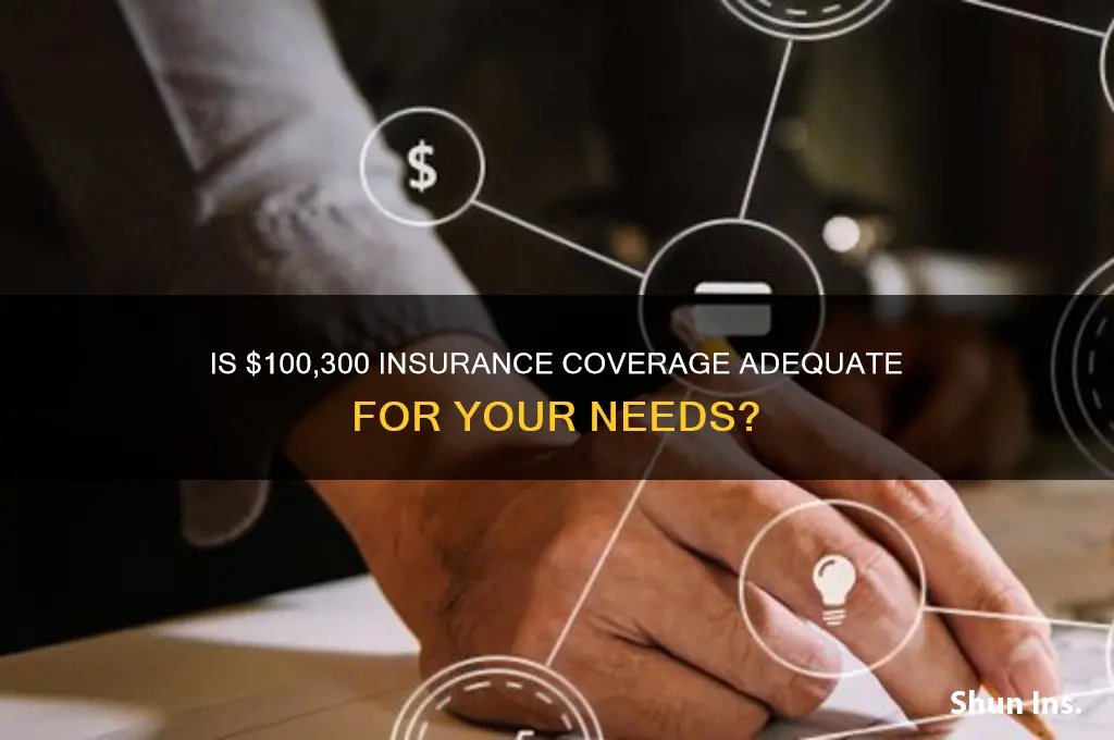 is 100 300 insurance enough