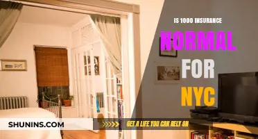 Is $1000 Monthly Insurance Normal for NYC Residents?