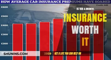 Cheap Car Insurance: Is It Worth the Cost?