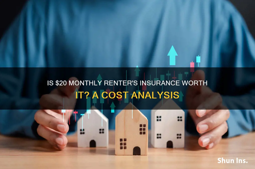 is 20 a month for renter insurance a lot