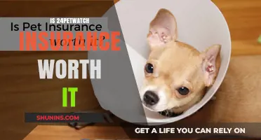 Pet Insurance: Is 24PetWatch Worth the Cost?