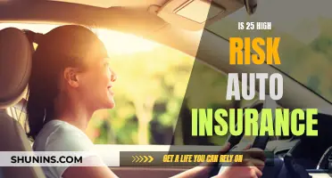 High-Risk Auto Insurance at 25: What You Need to Know