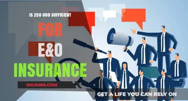 Is $250,000 Enough for E&O Insurance Coverage?