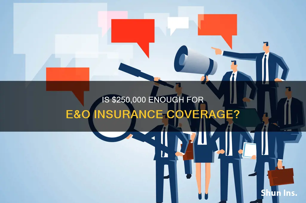 is 250 000 sufficient for e&o insurance