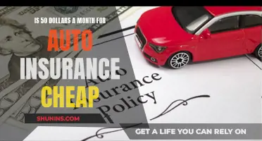 Auto Insurance at $50: Affordable or Expensive?