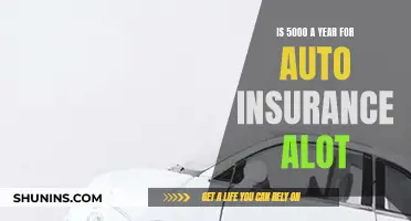 Auto Insurance: Is $5000 Annually Too Much?